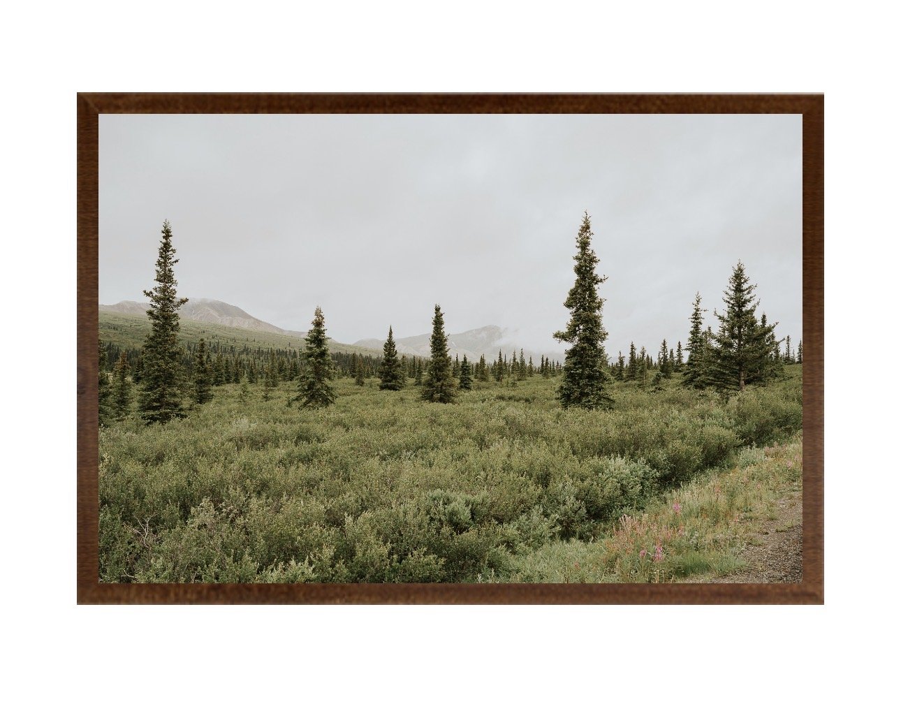 Denali National Park, Alaska