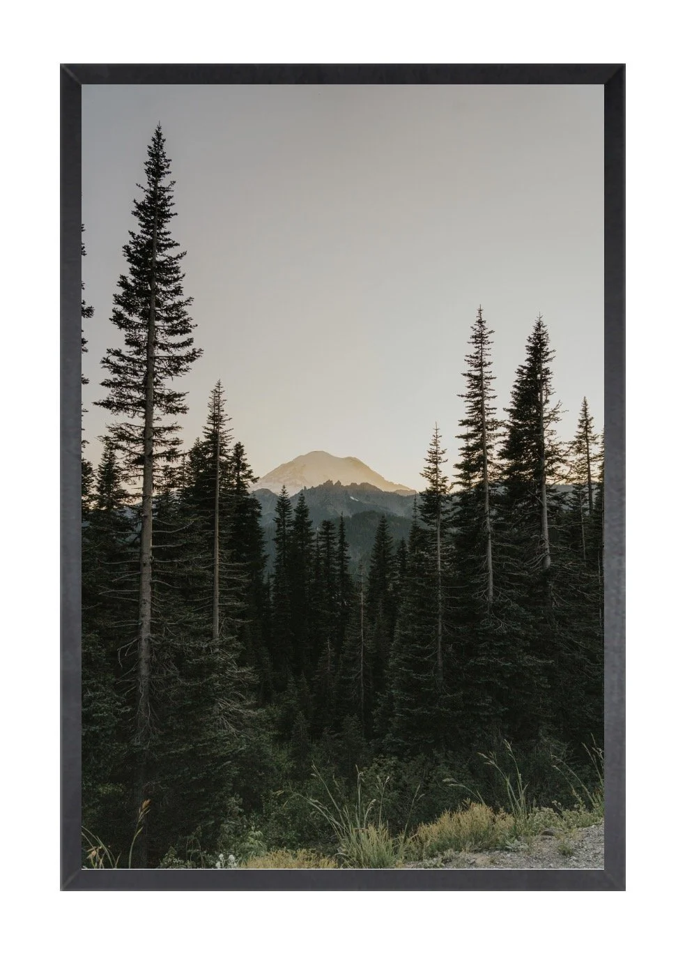 Mount Rainer National Park, Washington