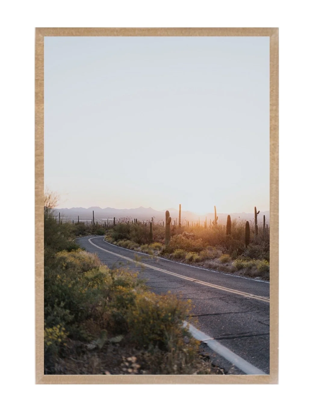 Saguaro National Park, Arizona