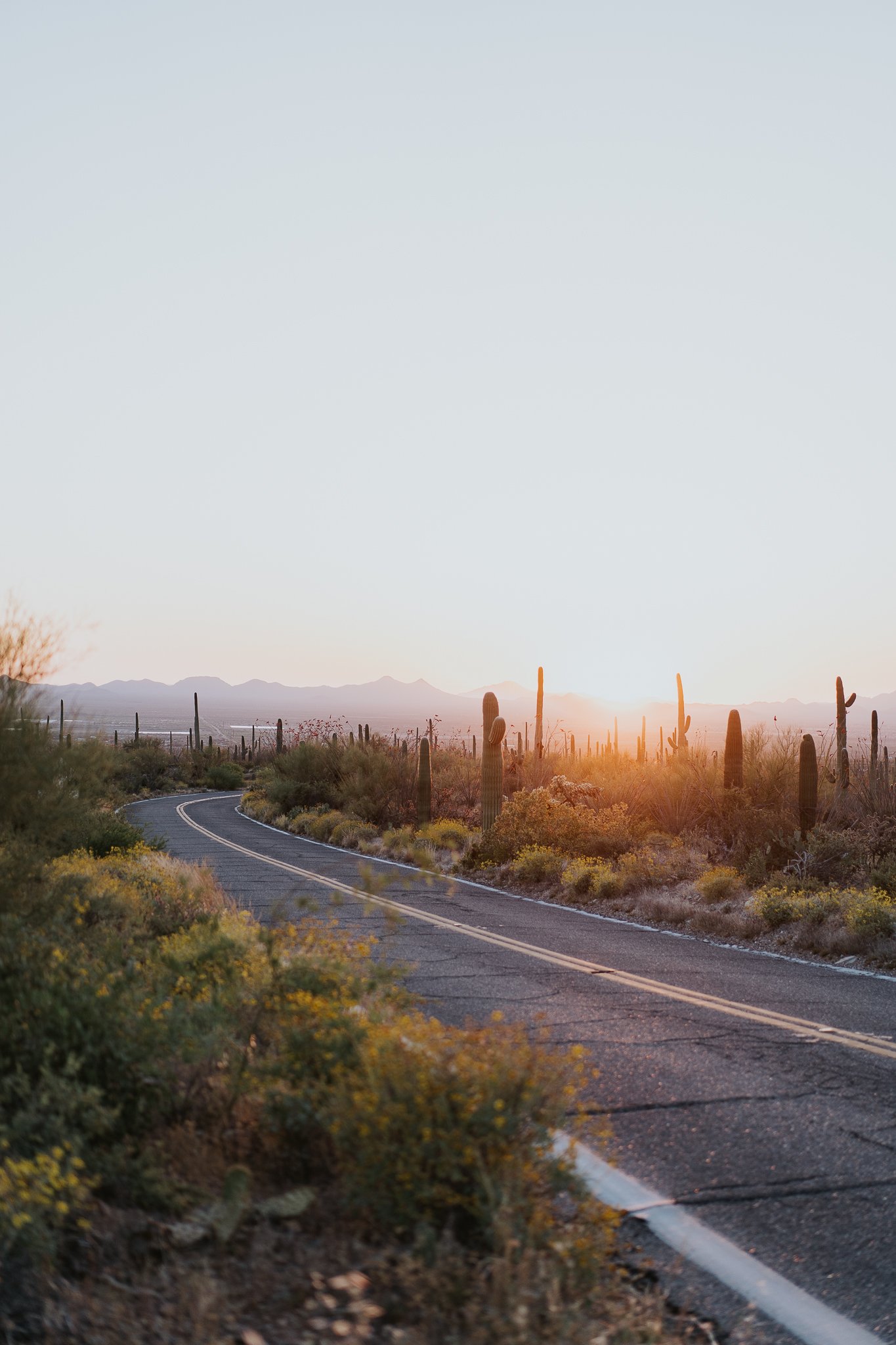 Saguaro National Park, Digital Download