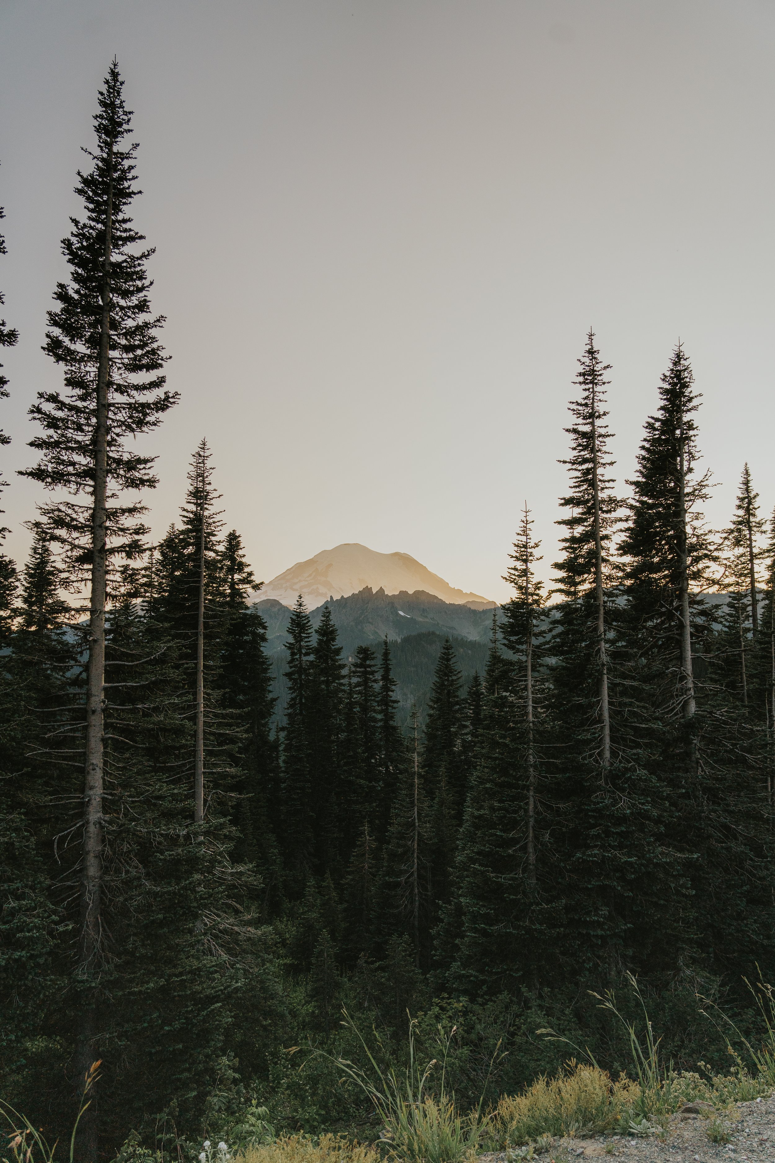 Mount Rainer National Park, Digital Download