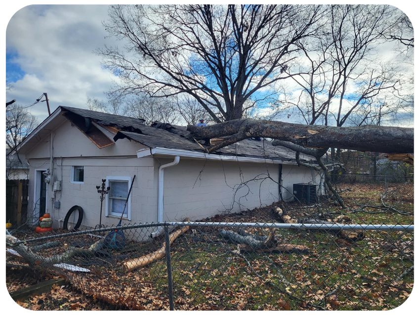 Large tree has fallen onto a house's roof, causing damage with debris on the ground, in a backyard with a chain-link fence and leafless trees.