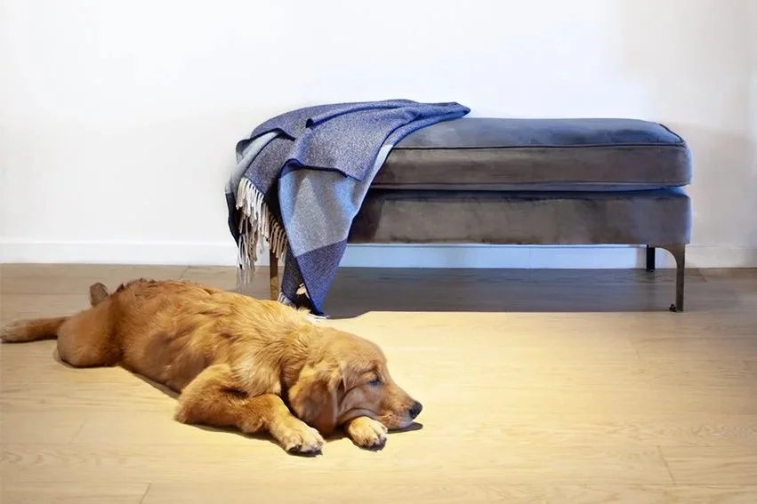 BENCH1.jpg