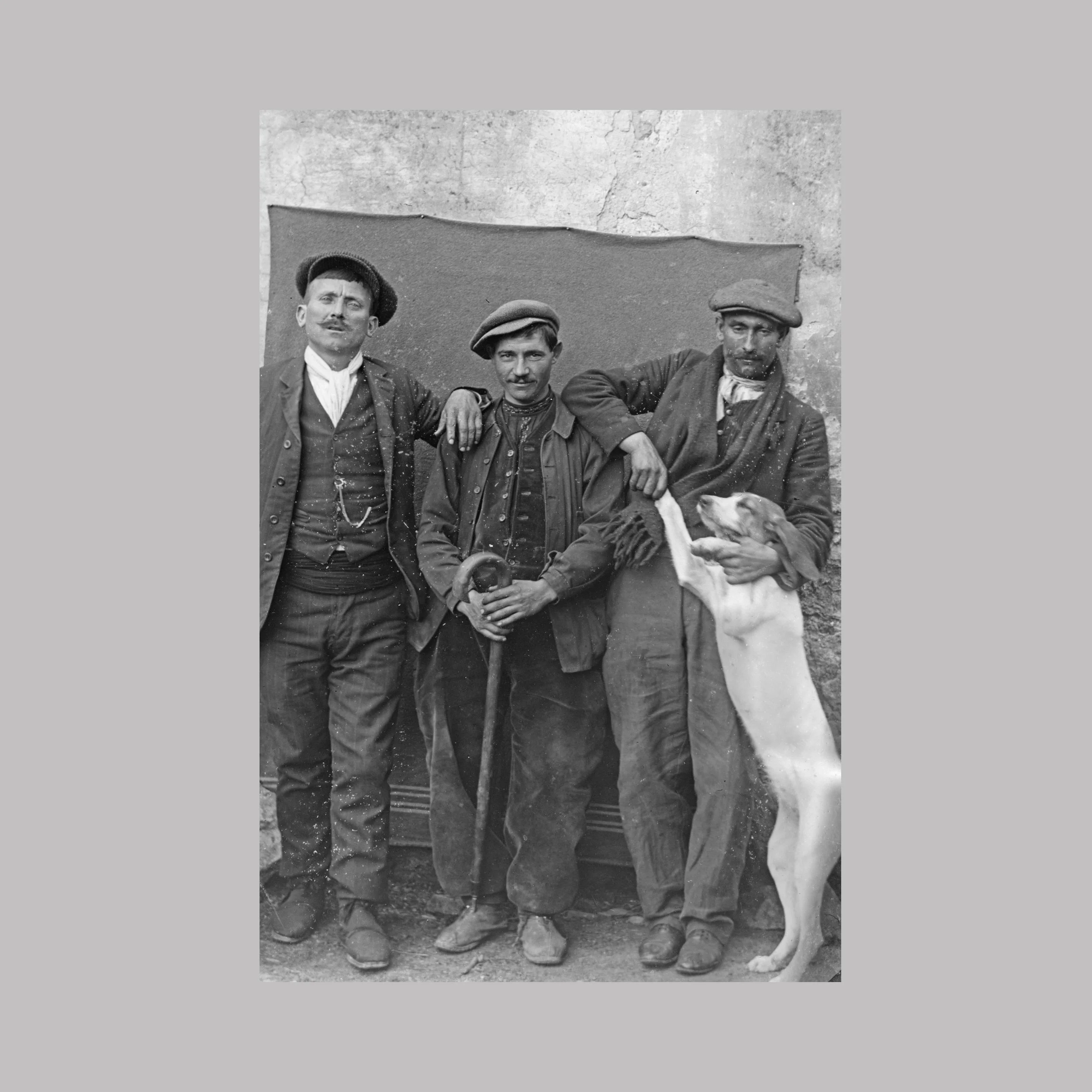 Les compagnons et le chien fidèle