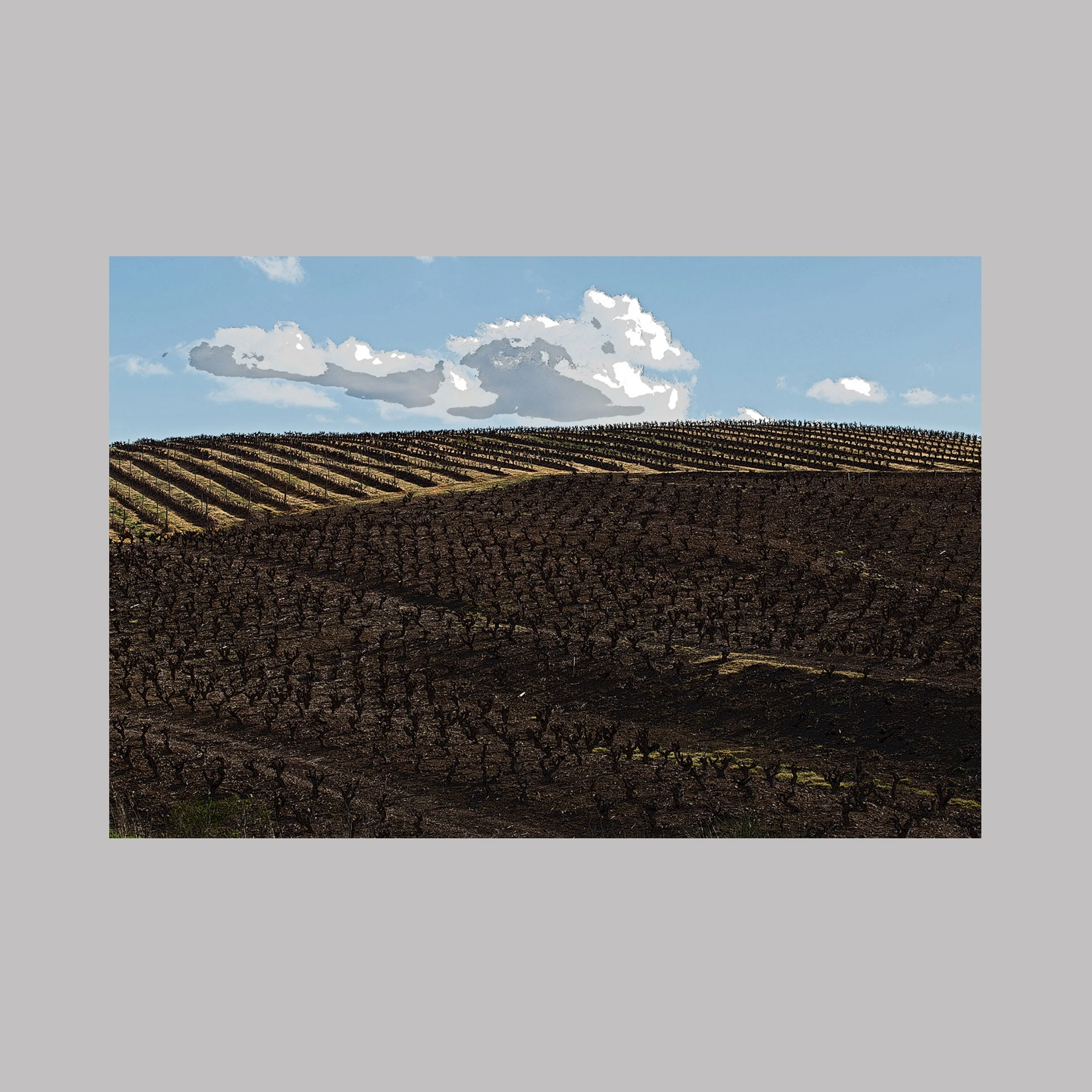 Abstraction Hivernale