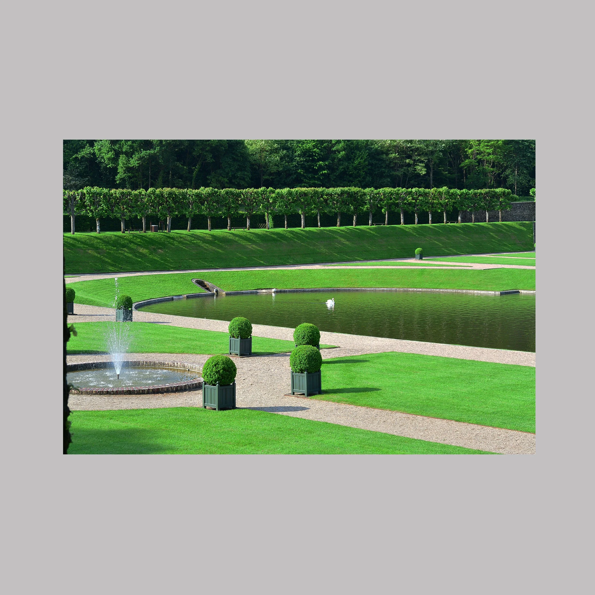 Le jardin du silence