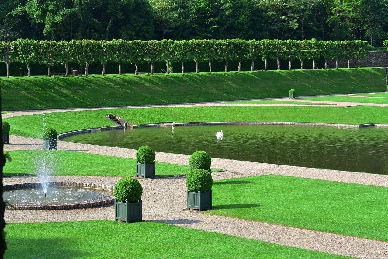 Zwaan in kasteelvijver
