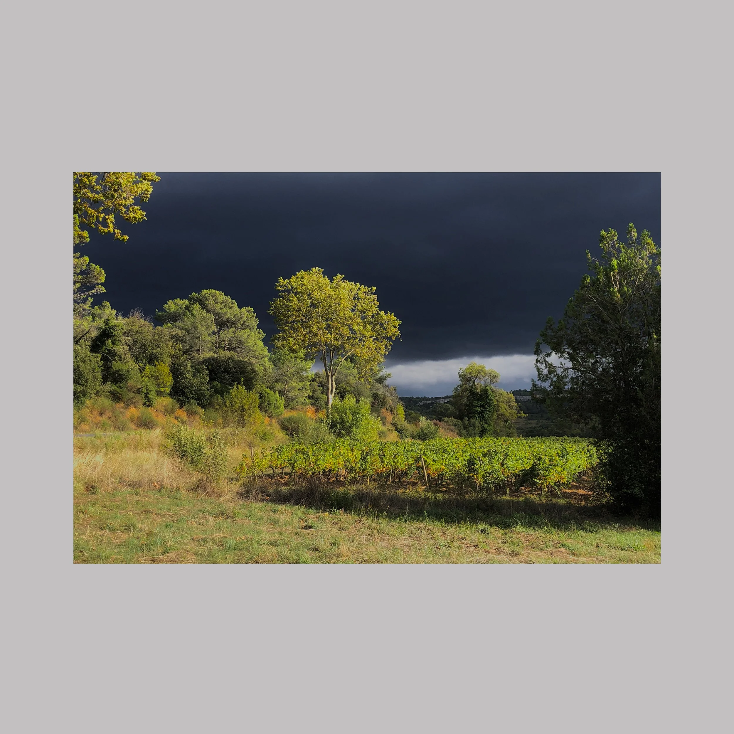 Lumière avant l’orage