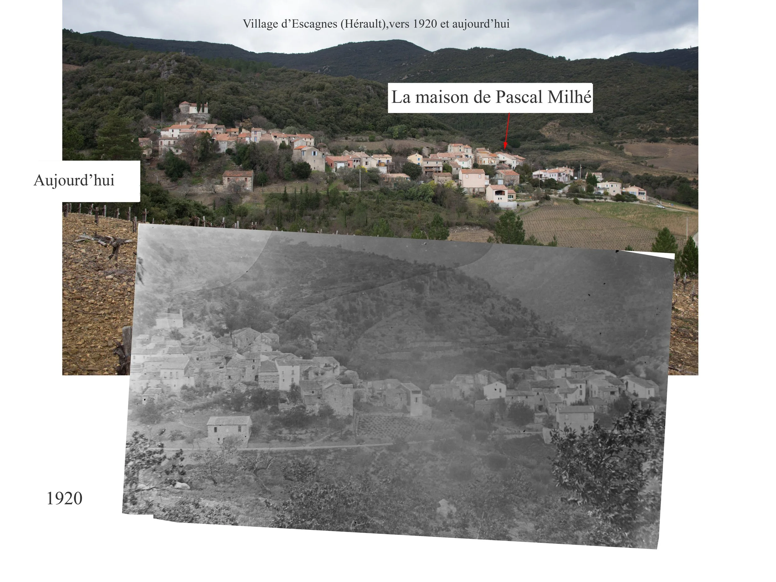 Comparaison photo ancienne et actuelle Escagnès Hérault | Archives Milhé