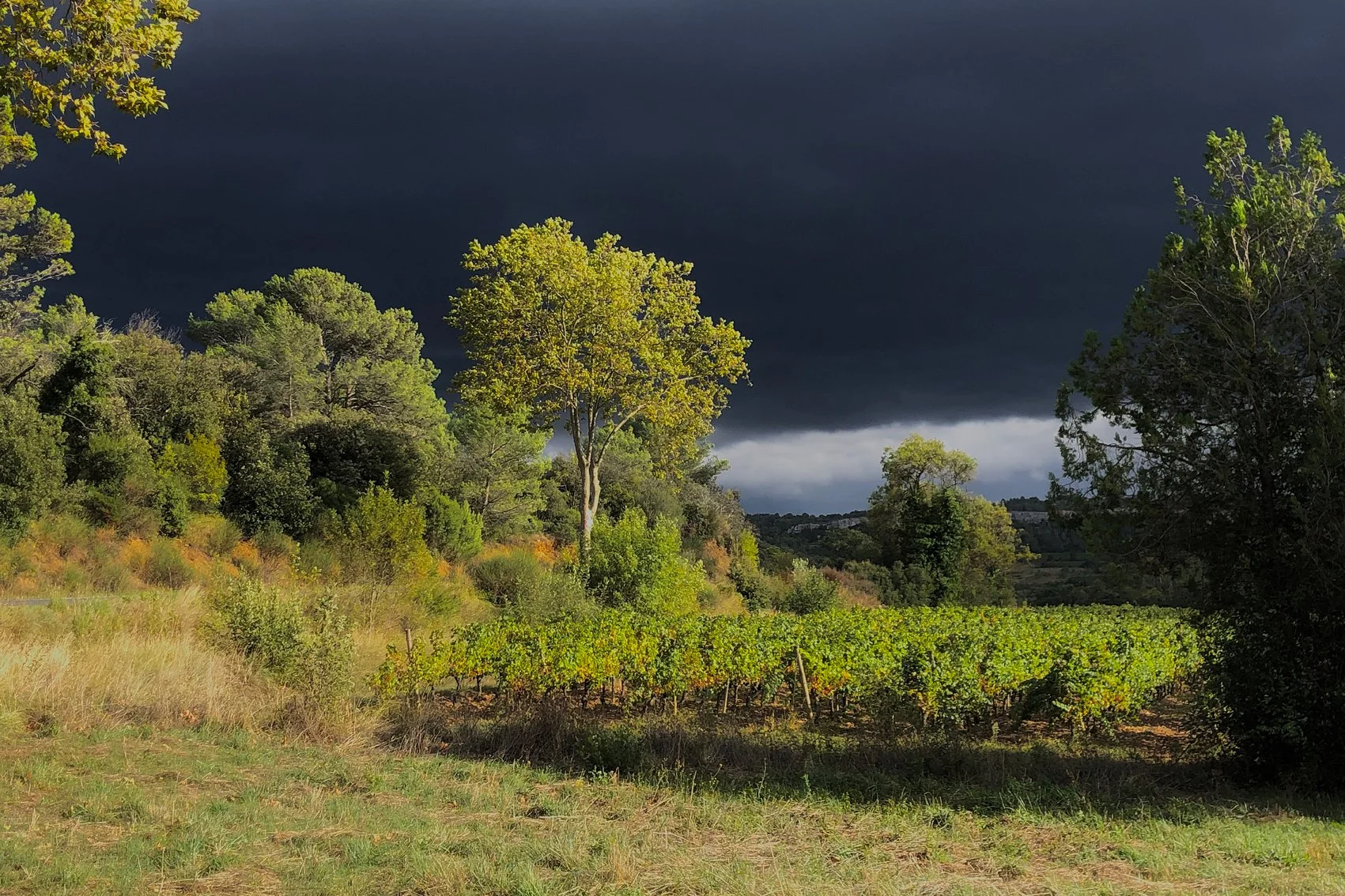 Lumière avant l’orage