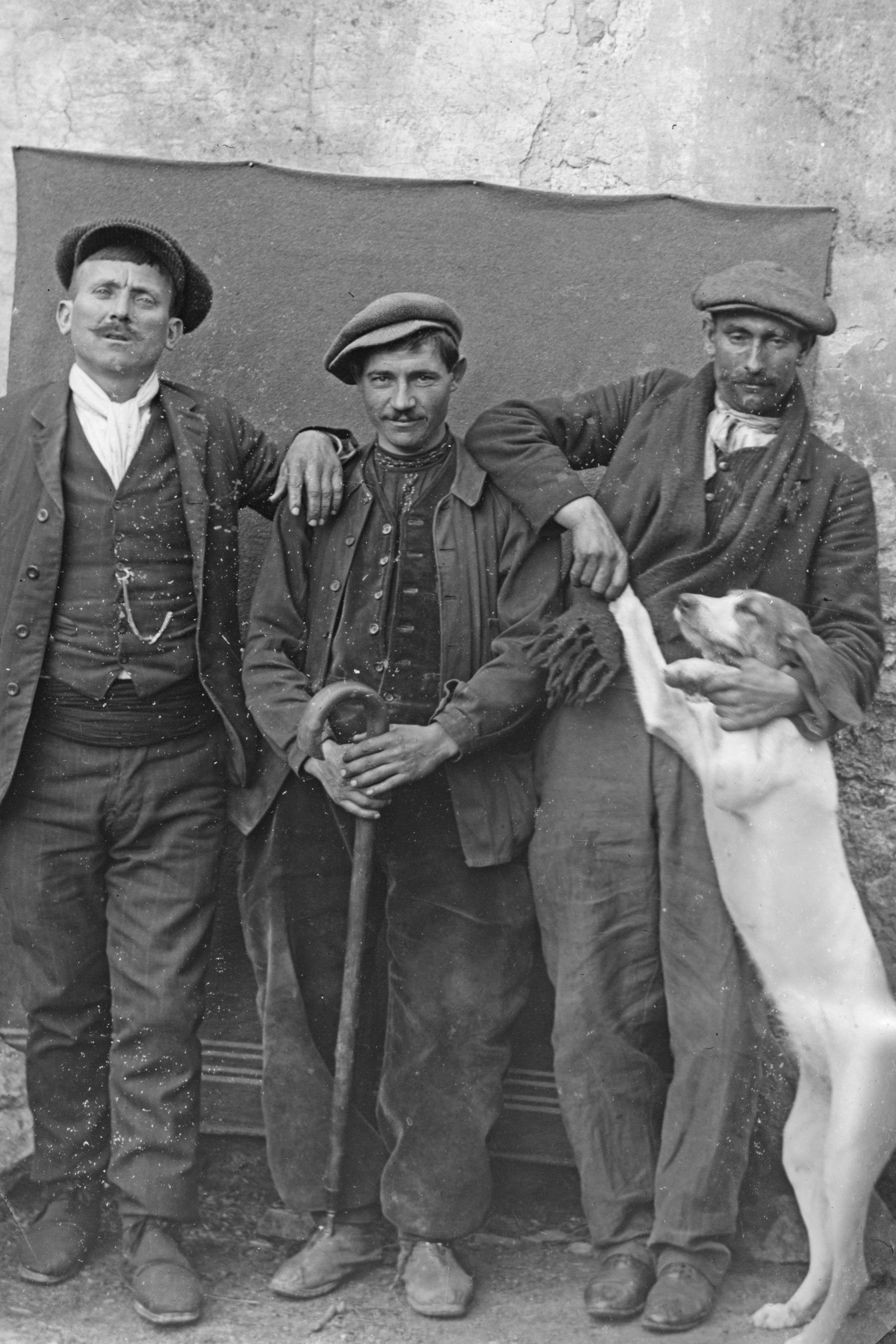 Les compagnons et le chien fidèle