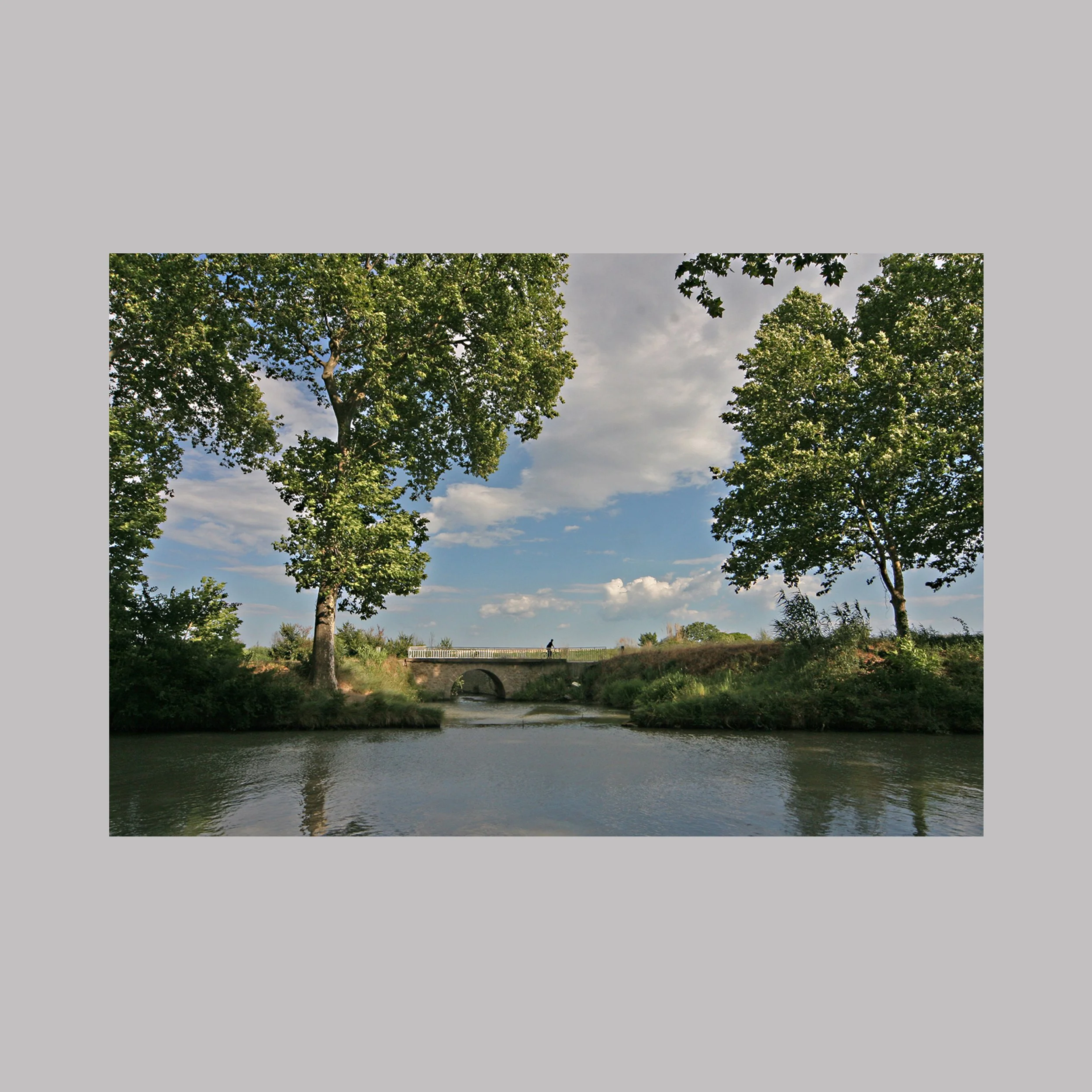 canal du midi 1 grijs.jpg
