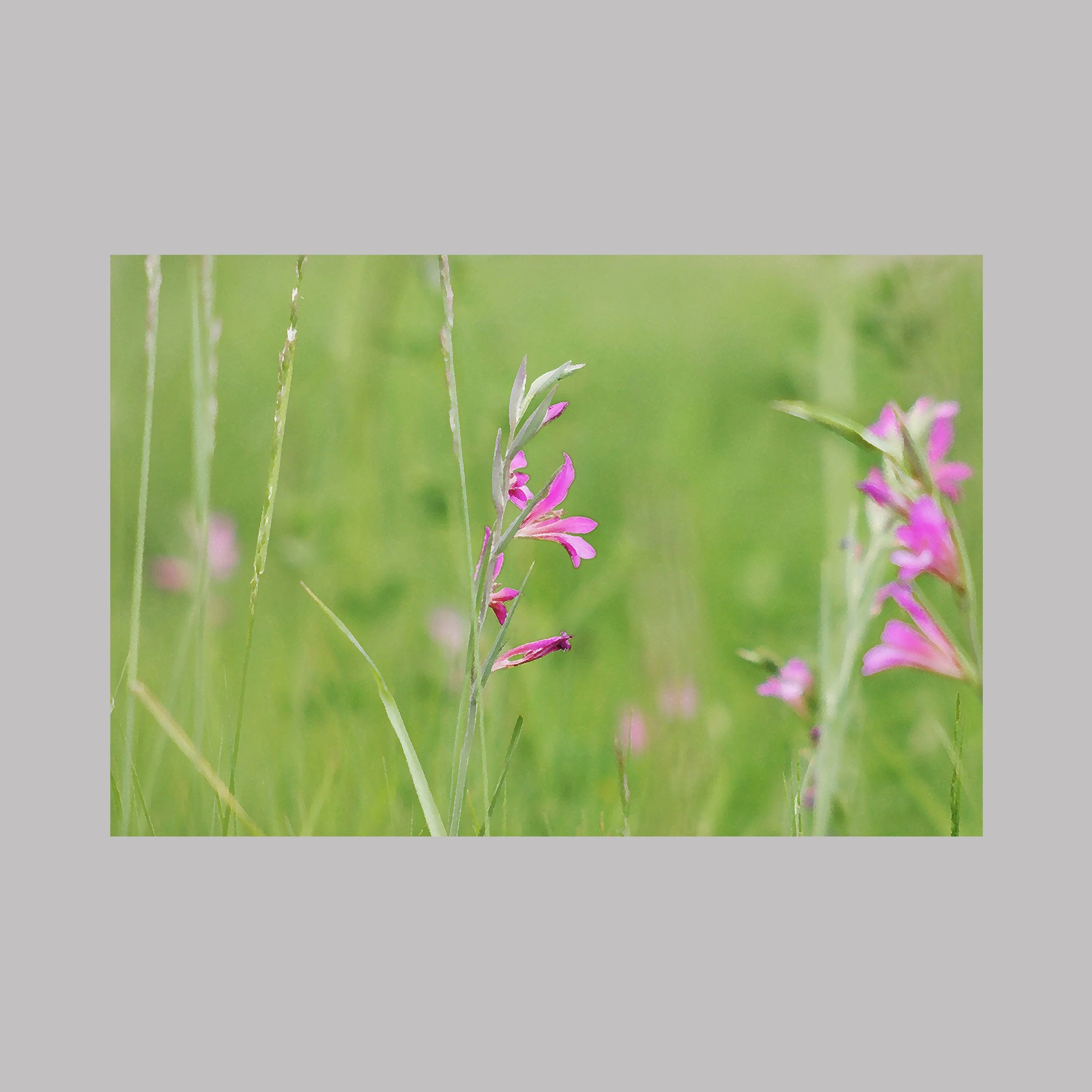 Murmure dans la verdure