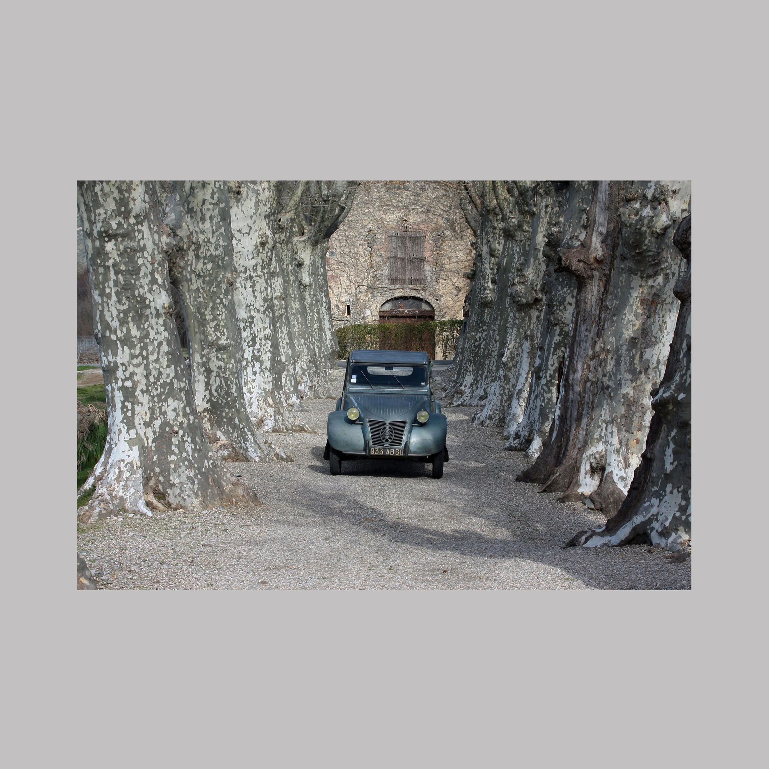 Une 2CV sous les platanes