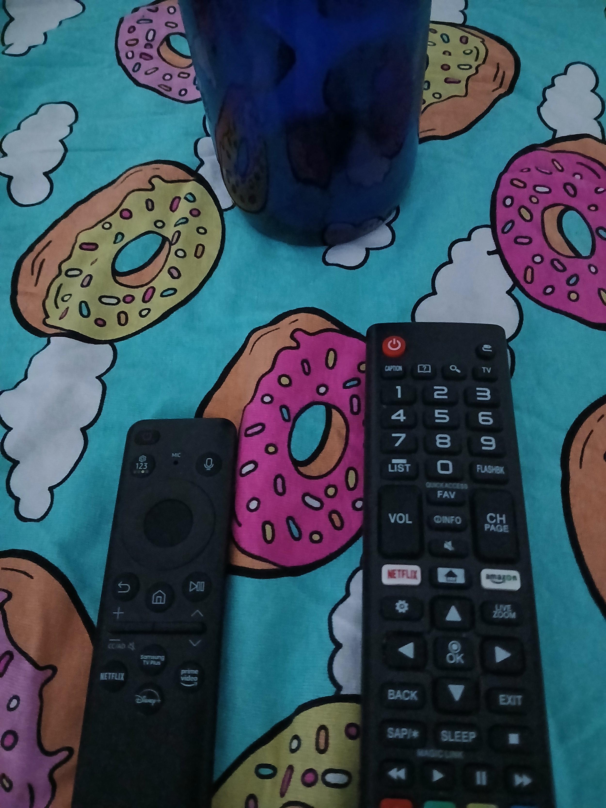 Controlled Forensic Treatment plan