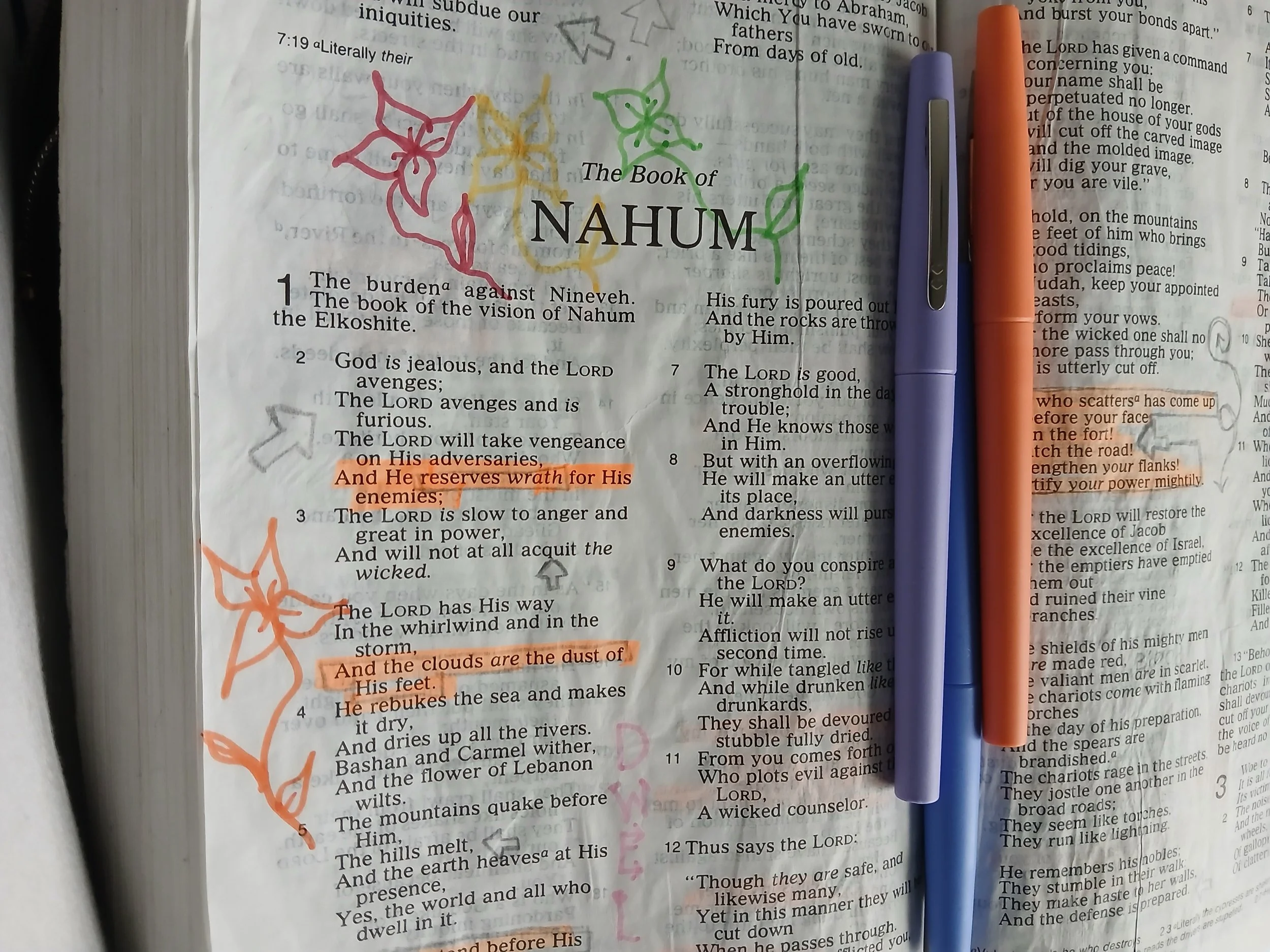 Business Taxes beginners