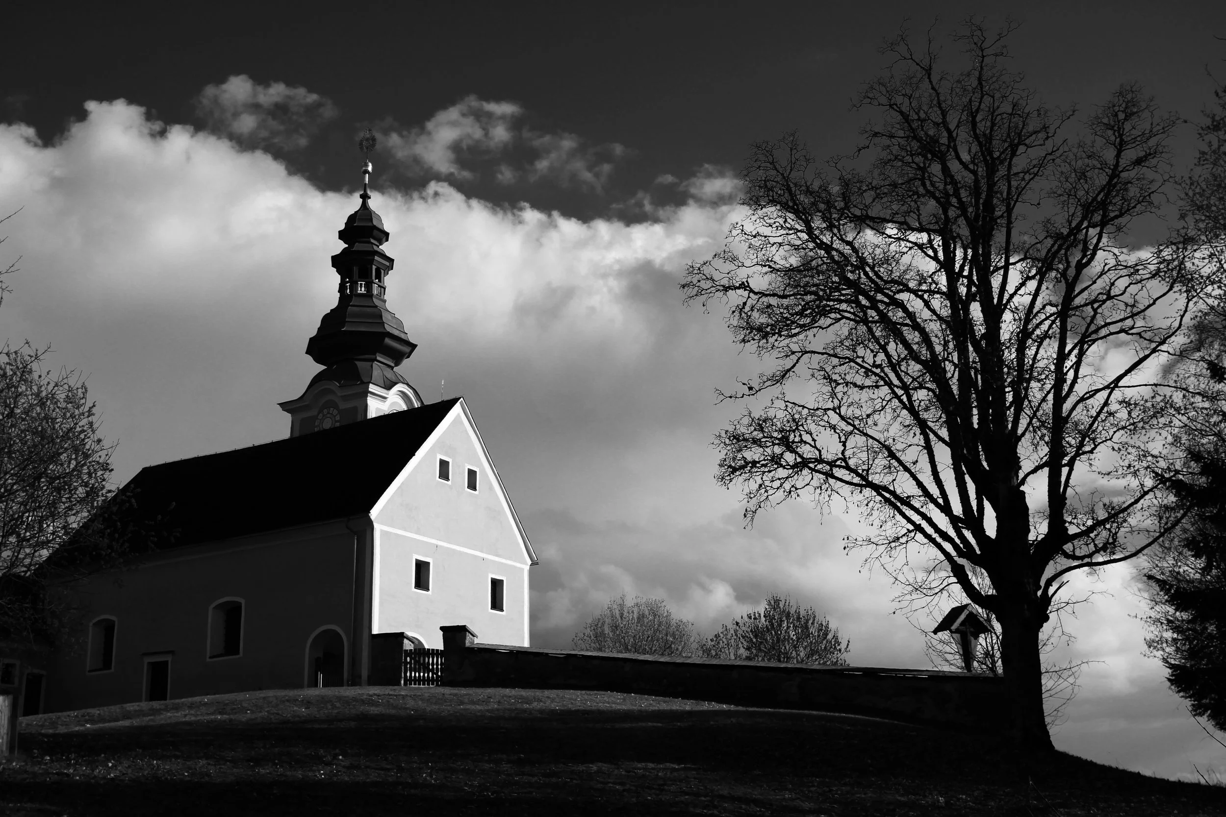 15.03.26 - church and tree