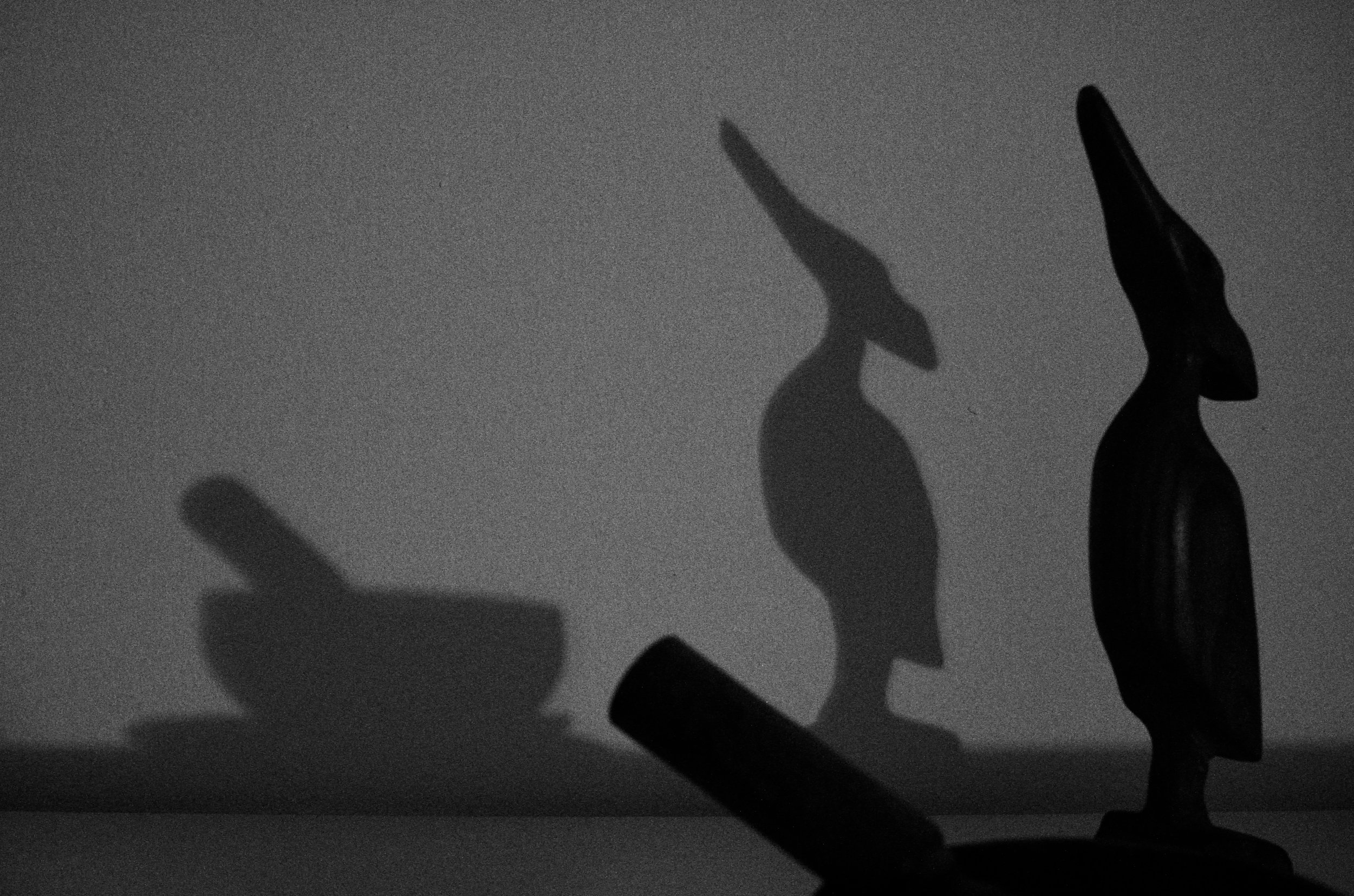 19.03.26 - shadow play