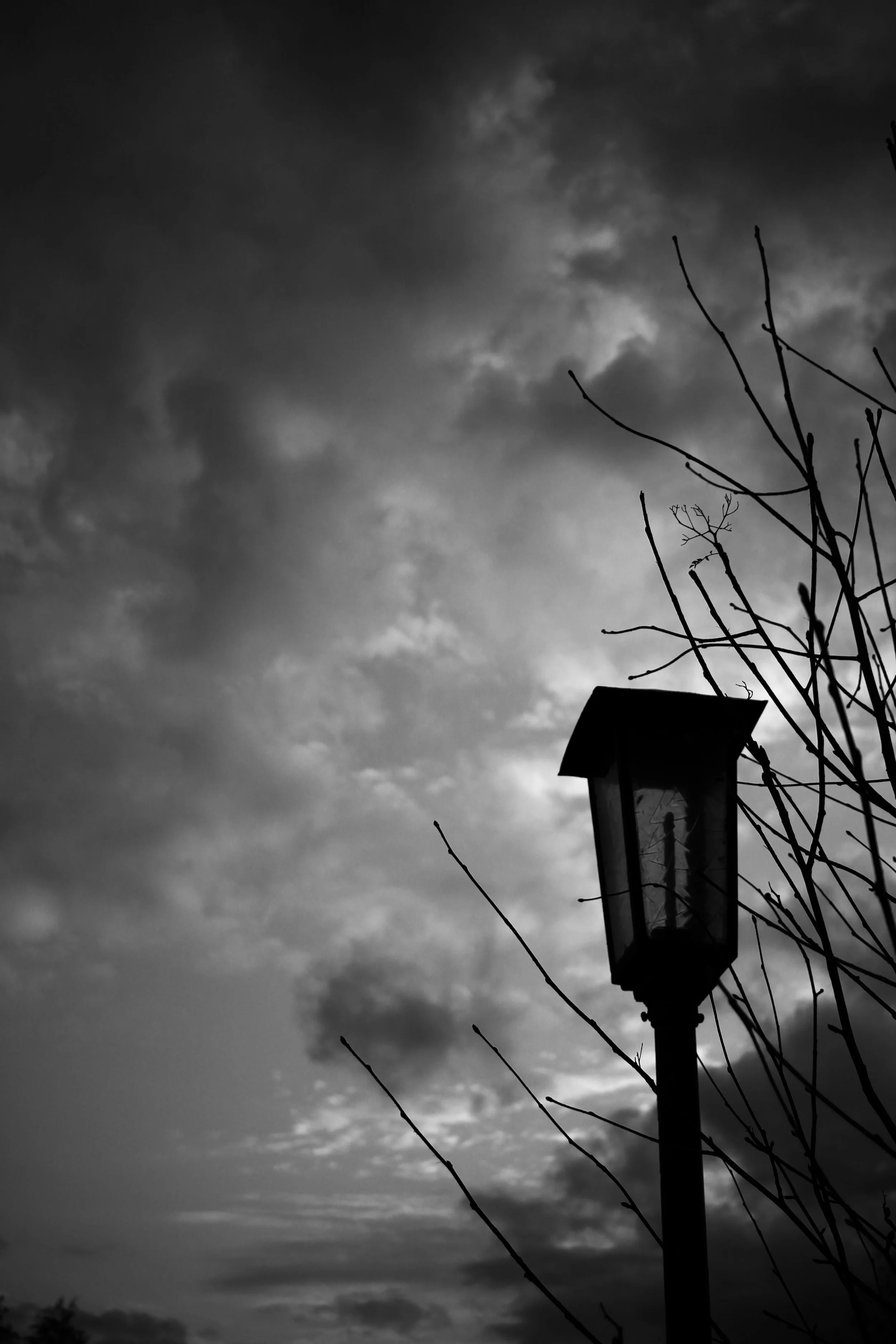 22.03.26 - streetlamp