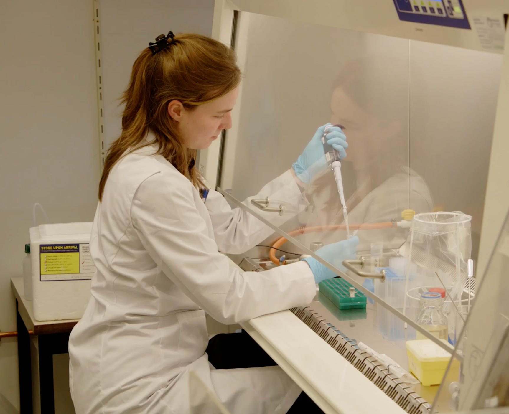 VIB Using Bacteria To Fight Disease