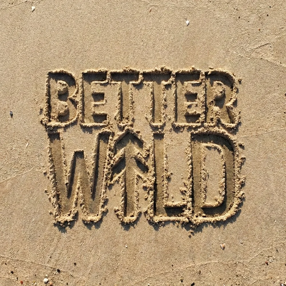 The phrase 'BETTER WILD' written in the sand at the beach.