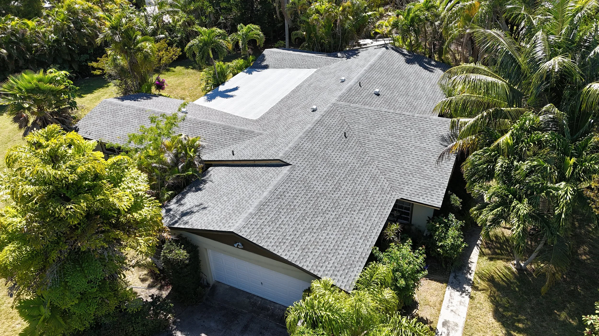 Shingle Roof