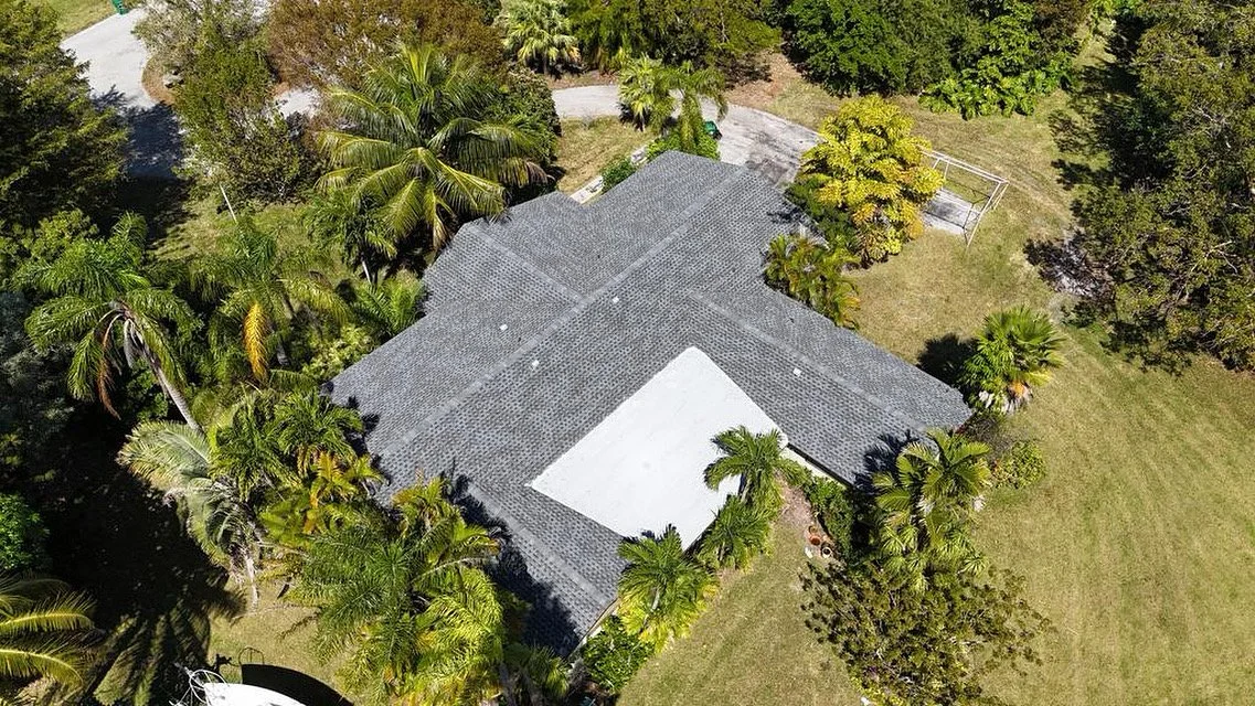 PETWER GREY - SHINGLE.jpg