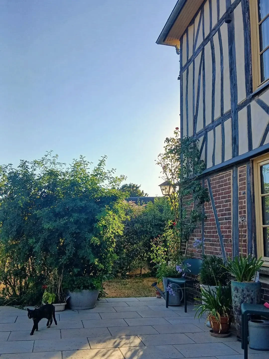 Quand le soleil se couche sur la Maison Mesnil... 🐈
