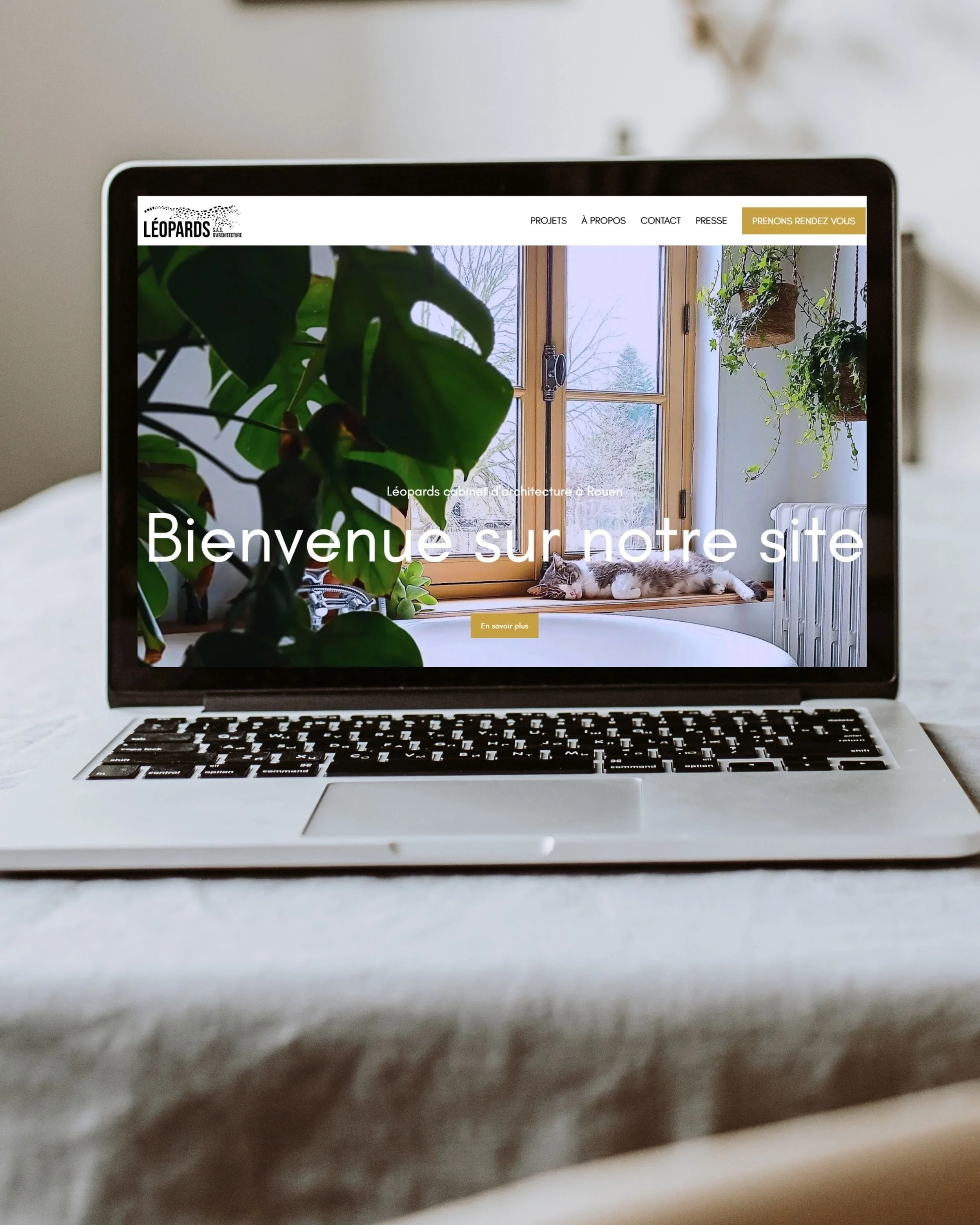 Notre site internet est en ligne ! ✨ 

Depuis quelques mois d&eacute;j&agrave;&hellip; il &eacute;tait temps de vous le pr&eacute;senter. 

Avec Simba Agency, nous avons pris le temps de construire un site qui nous ressemble :

👉 D&eacute;couvrez ww