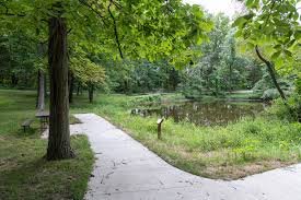 A park scene with a concrete pathway, tall trees, green grass, and a pond in the background.