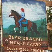 Painting of a person riding a horse on a sign for Bear Branch Horse Camp, mentioning guide rides and lodgings.