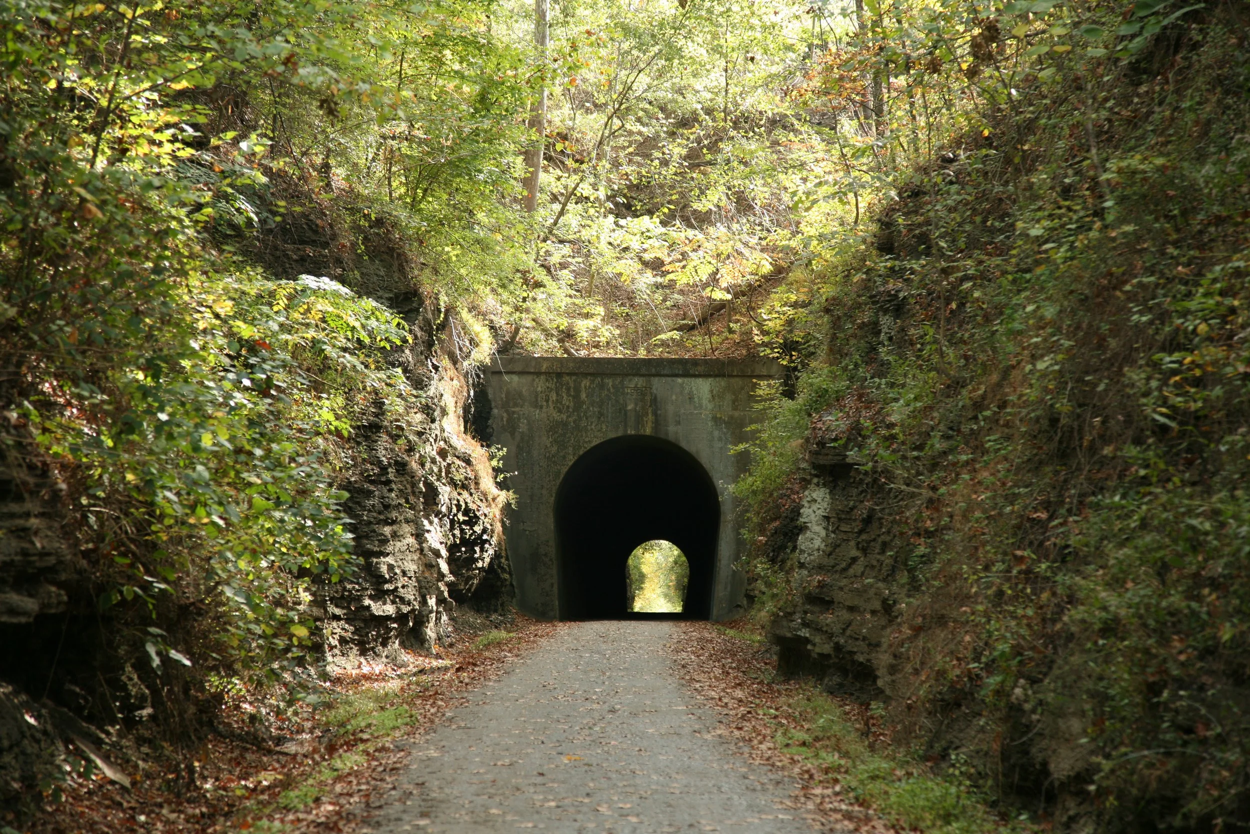 A tunnel in a forest with dense green foliage and a dirt pathway passing through it.