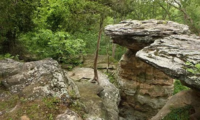 A natural rocky landscape with large flat rocks and green trees in the background.