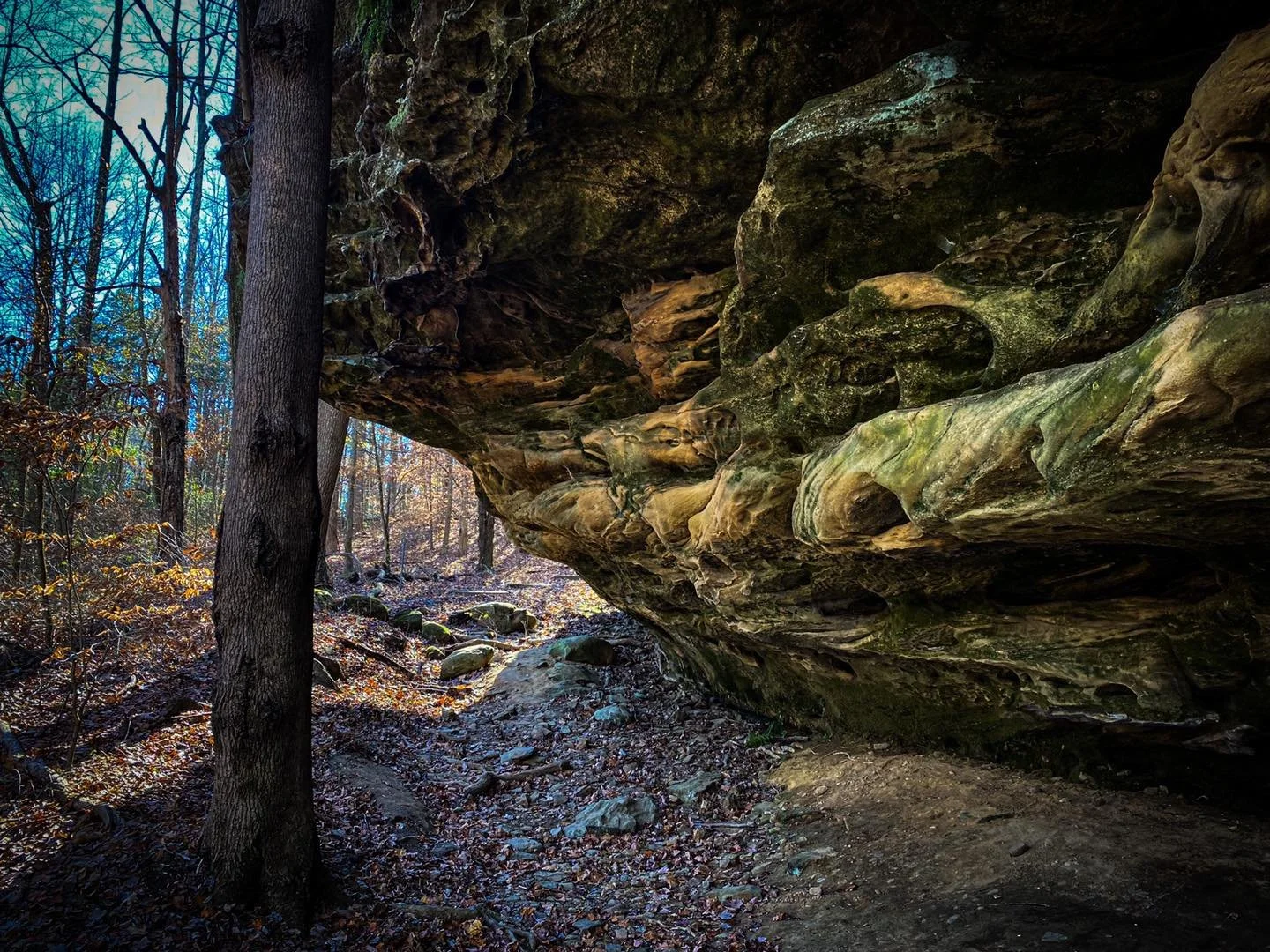 A forest scene with tall trees, a large rocky overhang, and sunlight filtering through the trees.
