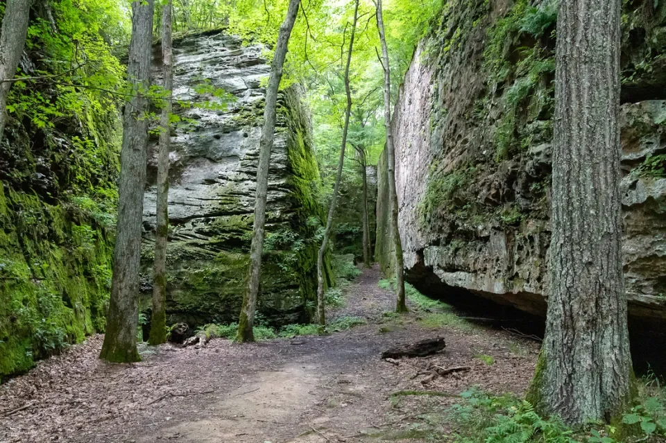 A forest trail flanked by tall moss-covered rocks and trees with green foliage.