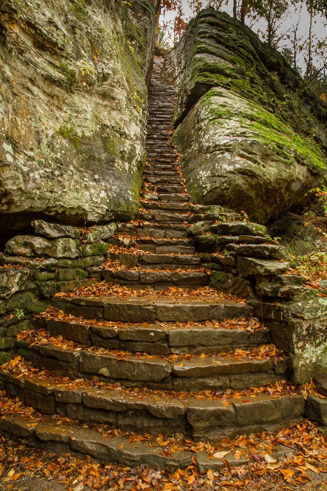 Stone staircase ascending between large moss-covered rocks in a forest with fallen autumn leaves.