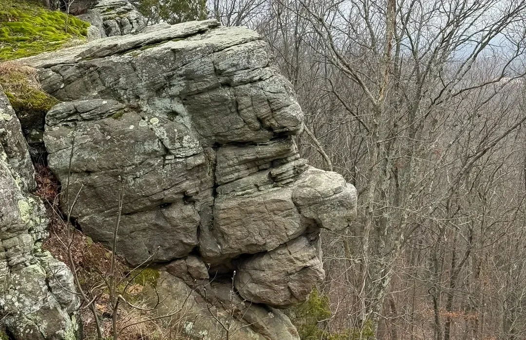 Close-up of a large rock formation resembling a human face profile with a prominent nose, surrounded by leafless trees during winter.