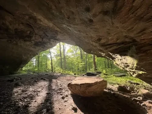 View from inside a cave looking out to a forest with green trees and sunlight.