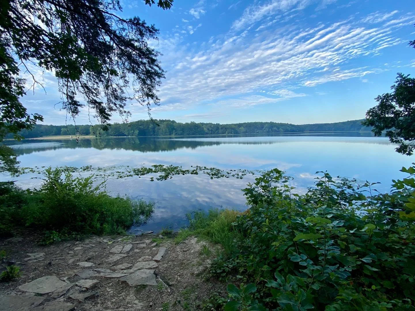 A peaceful lake scene with calm water reflecting blue sky and scattered clouds, surrounded by green trees and bushes, with a trail in the foreground.