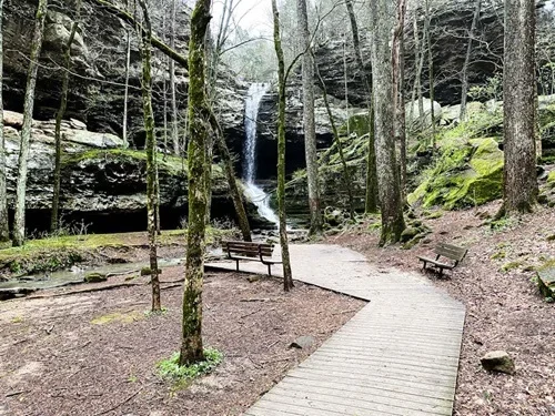 Forest trail with benches and a waterfall in the background.
