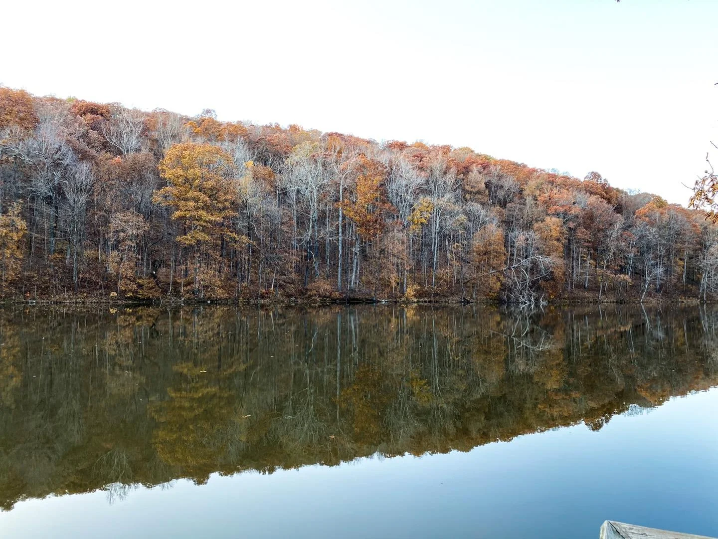 Calm lake reflecting a forested hillside with autumn-colored trees, bare branches, and a clear sky.