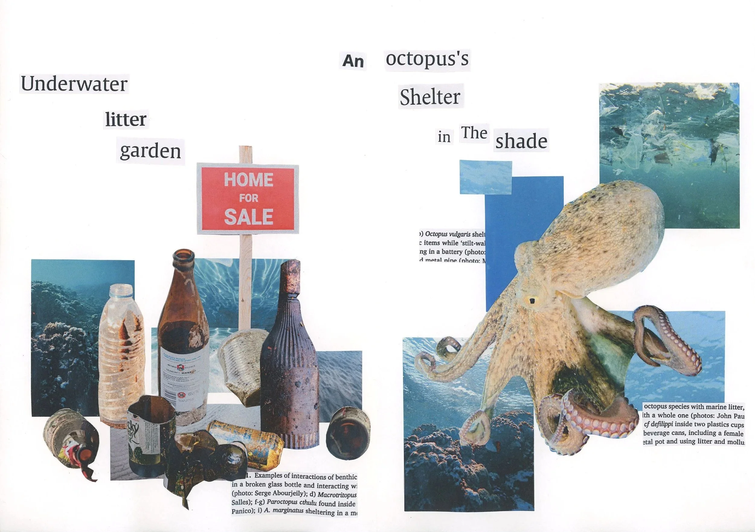 Benthic octopuses have been seen using underwater litter, such as bottle and cans, to take shelter and even lay their eggs in there!

