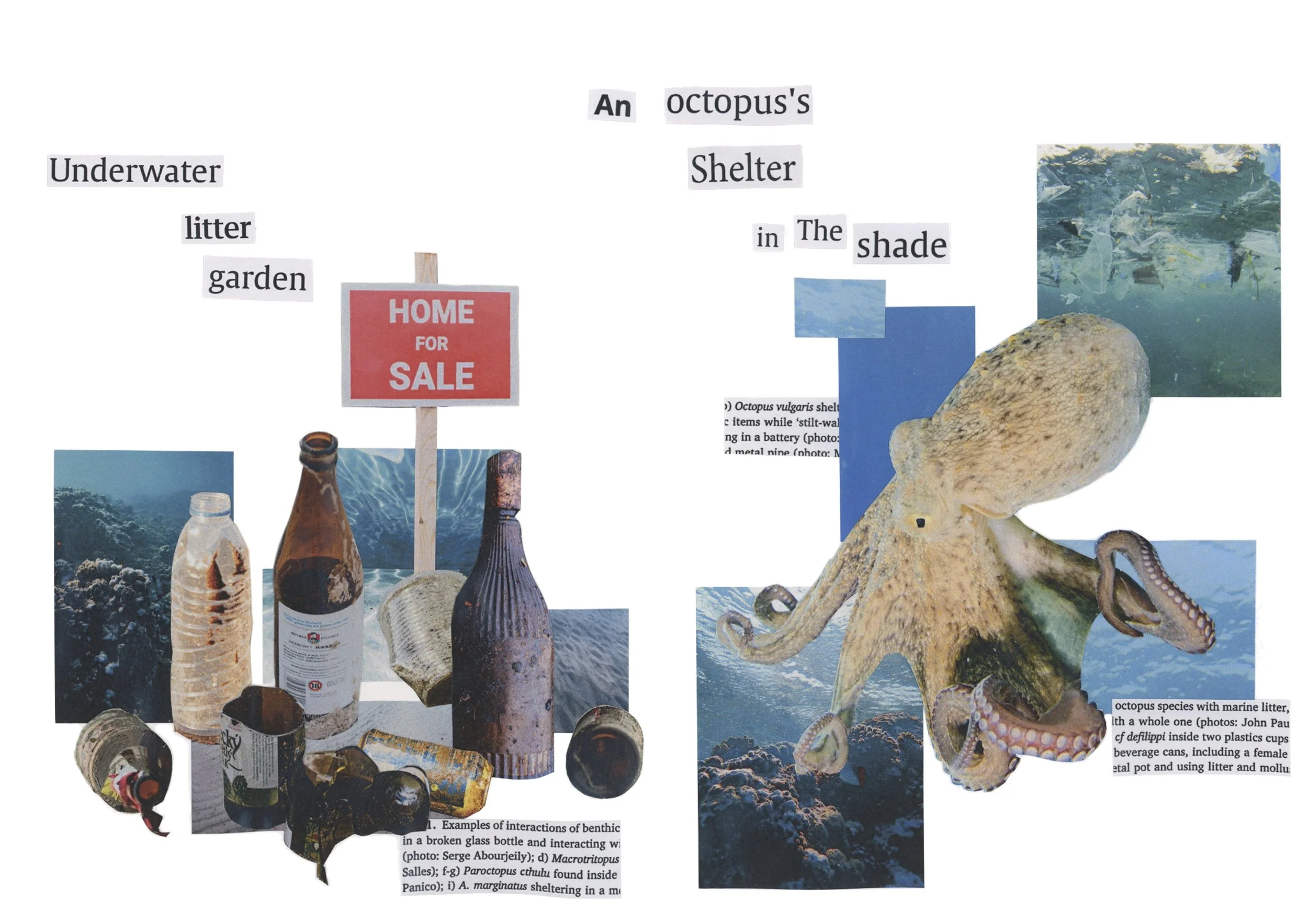 Octopus Collage Clean.jpg