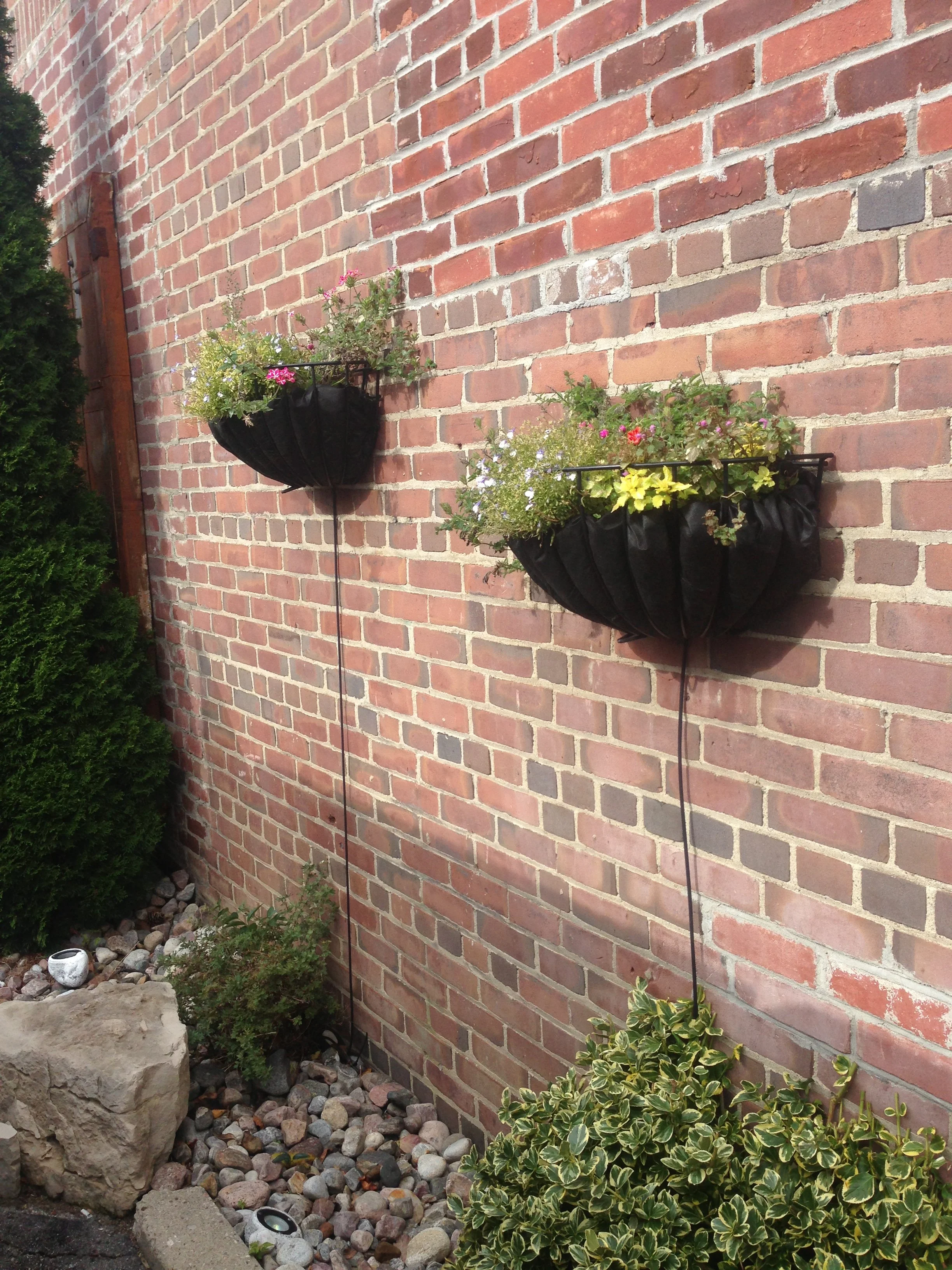 Watered with drippers.