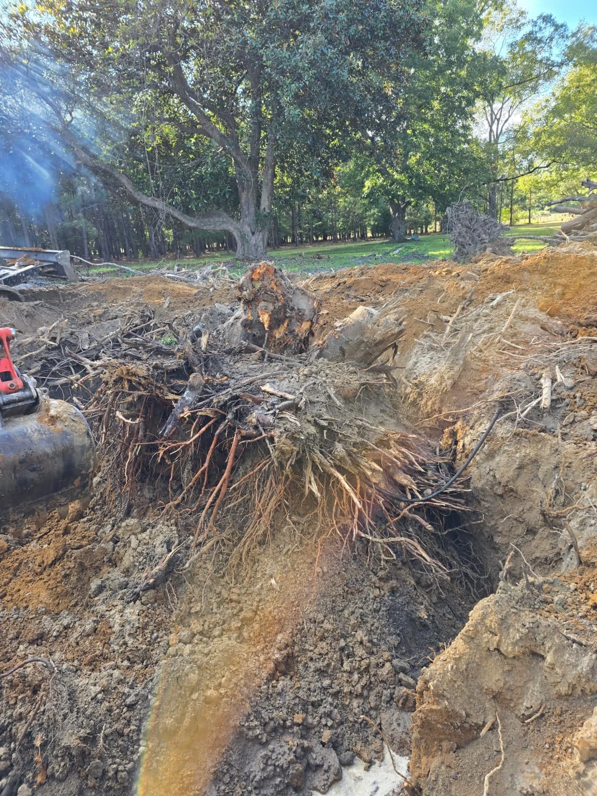 WhatsApp Image 2026-02-25 at 1.48.50 PM (1).jpeg