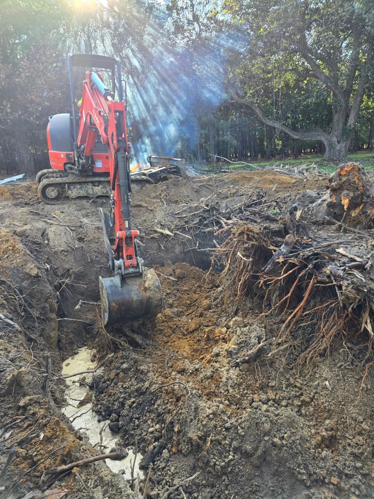 Land Clearing & Property Preparation Services