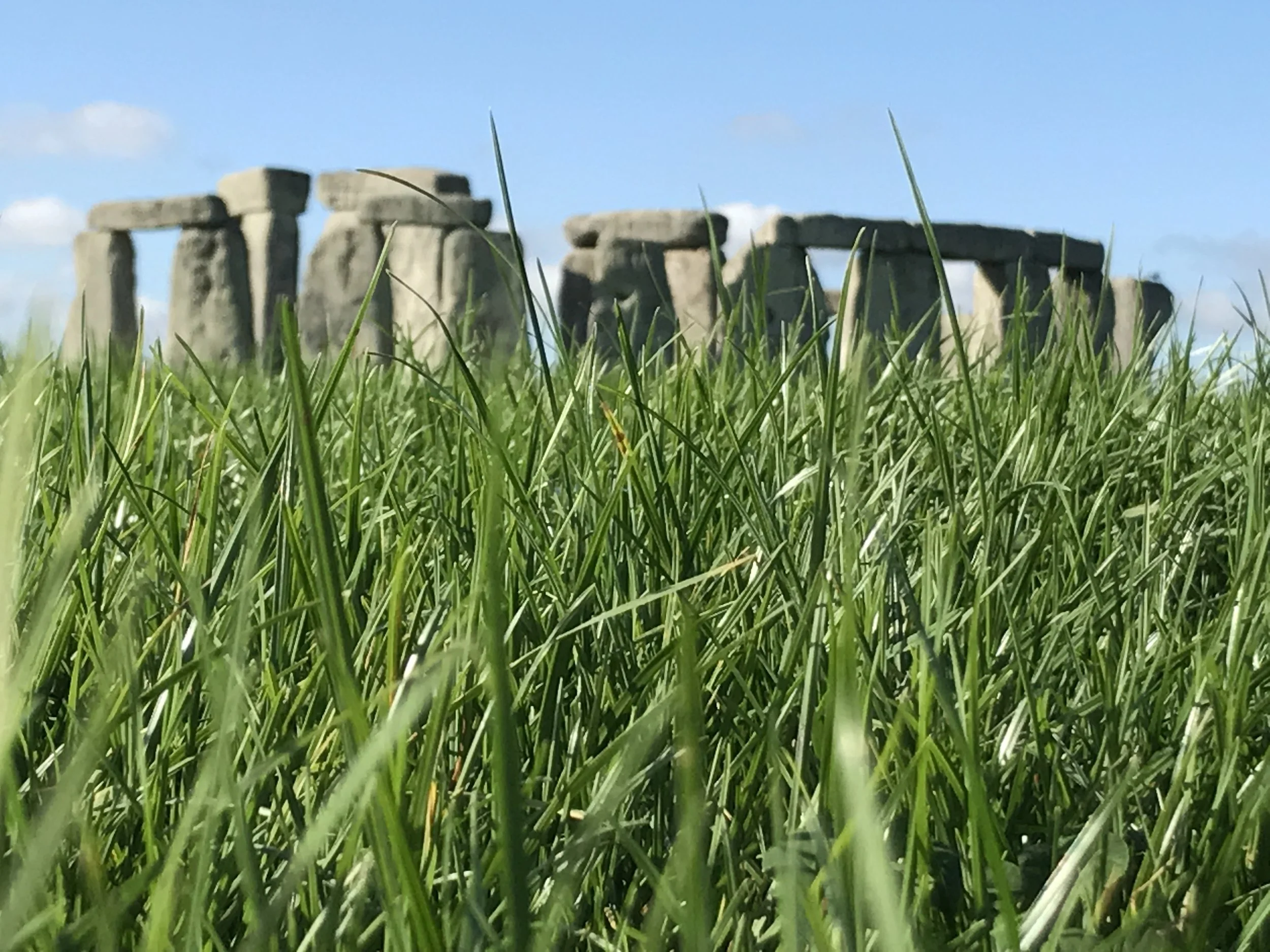 Close-up view of green grass with ancient stone stones in the background under a blue sky.