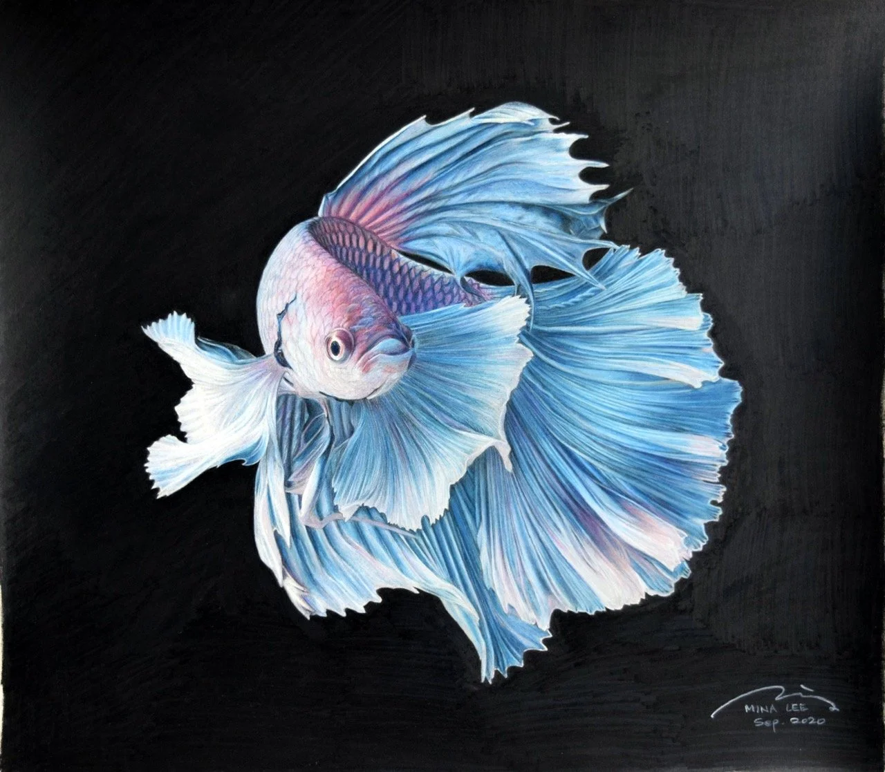 FIGHER FISH Large.jpeg