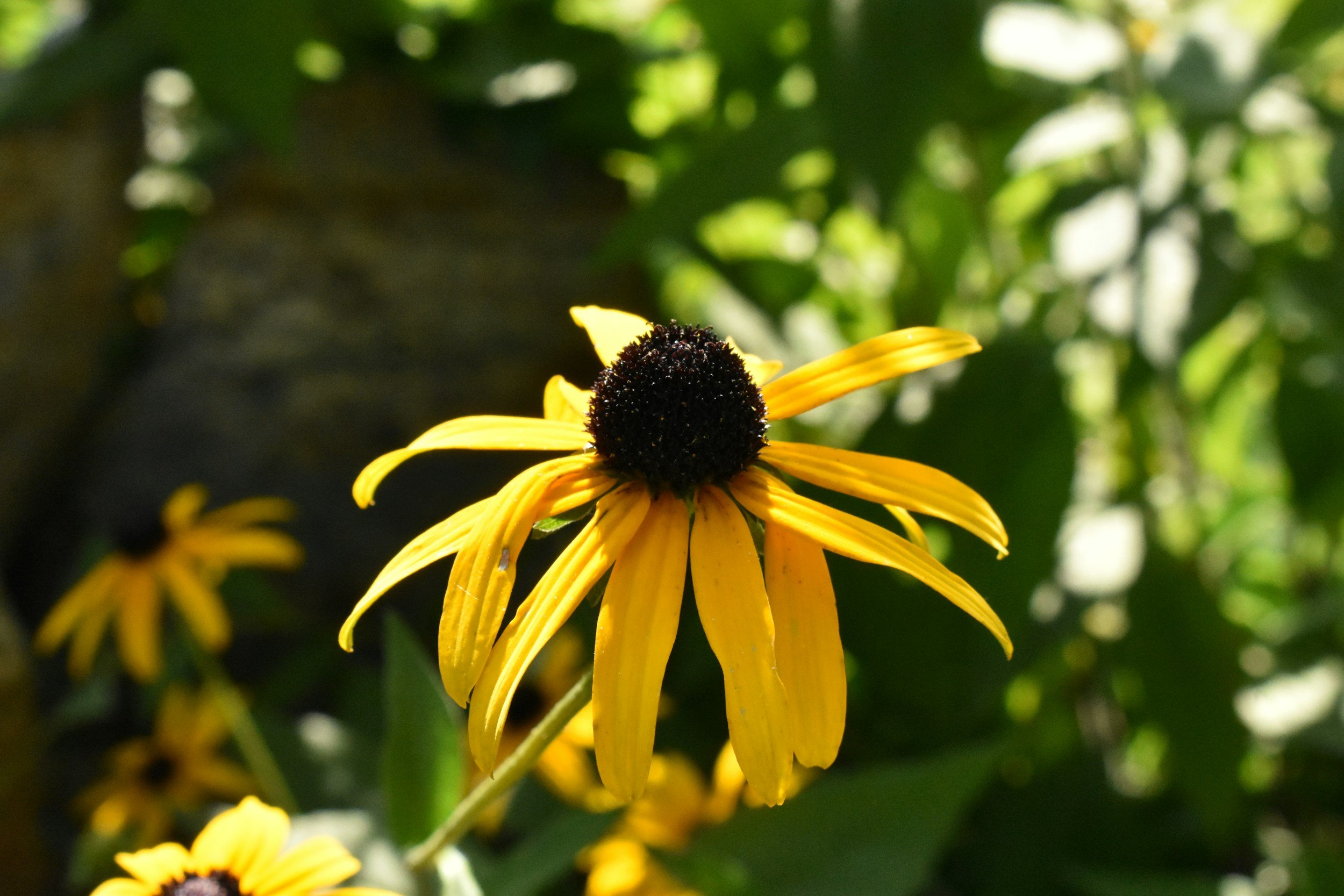 Redefine ‘Happiness’ 