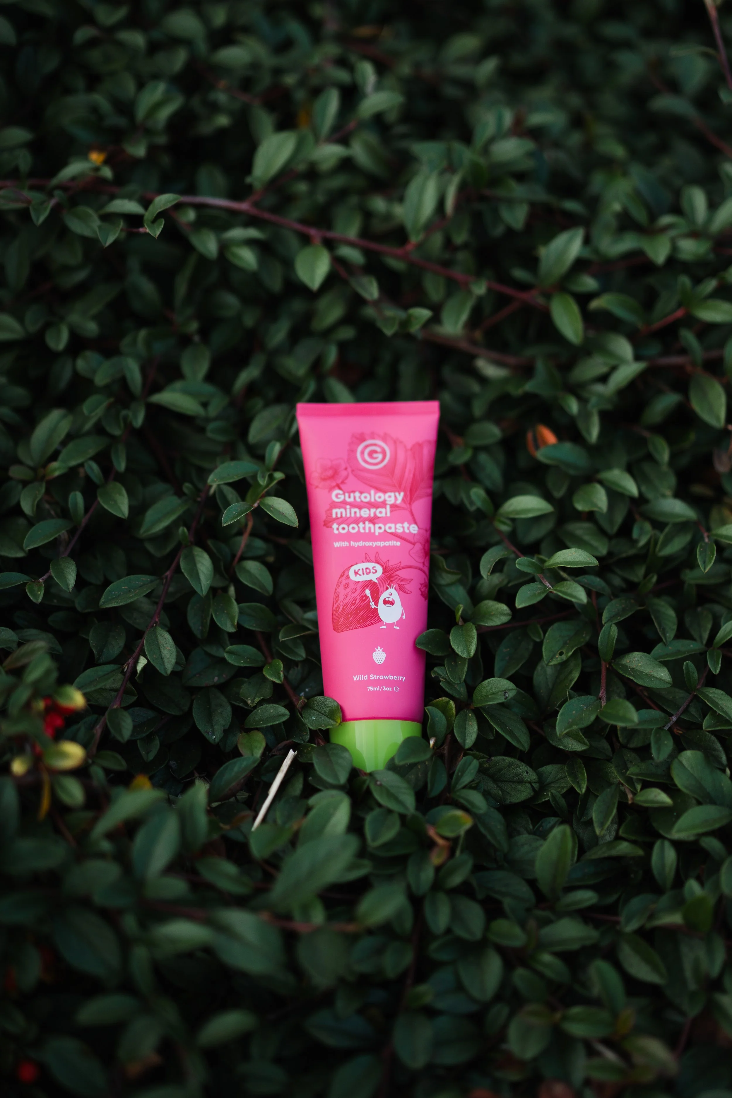 Gutology Edit-22.jpg